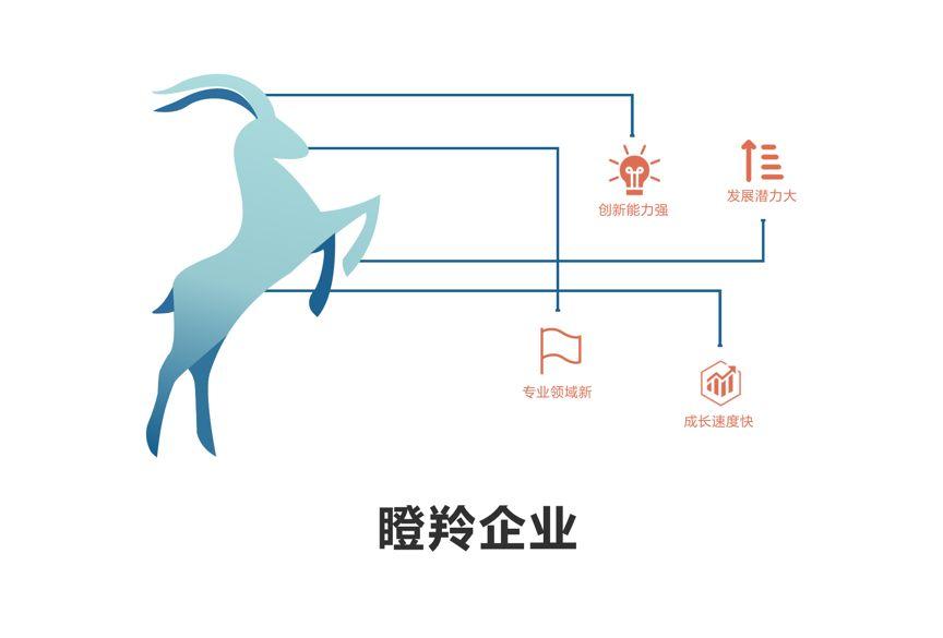 成都高新區(qū)瞪羚企業(yè)認定審計